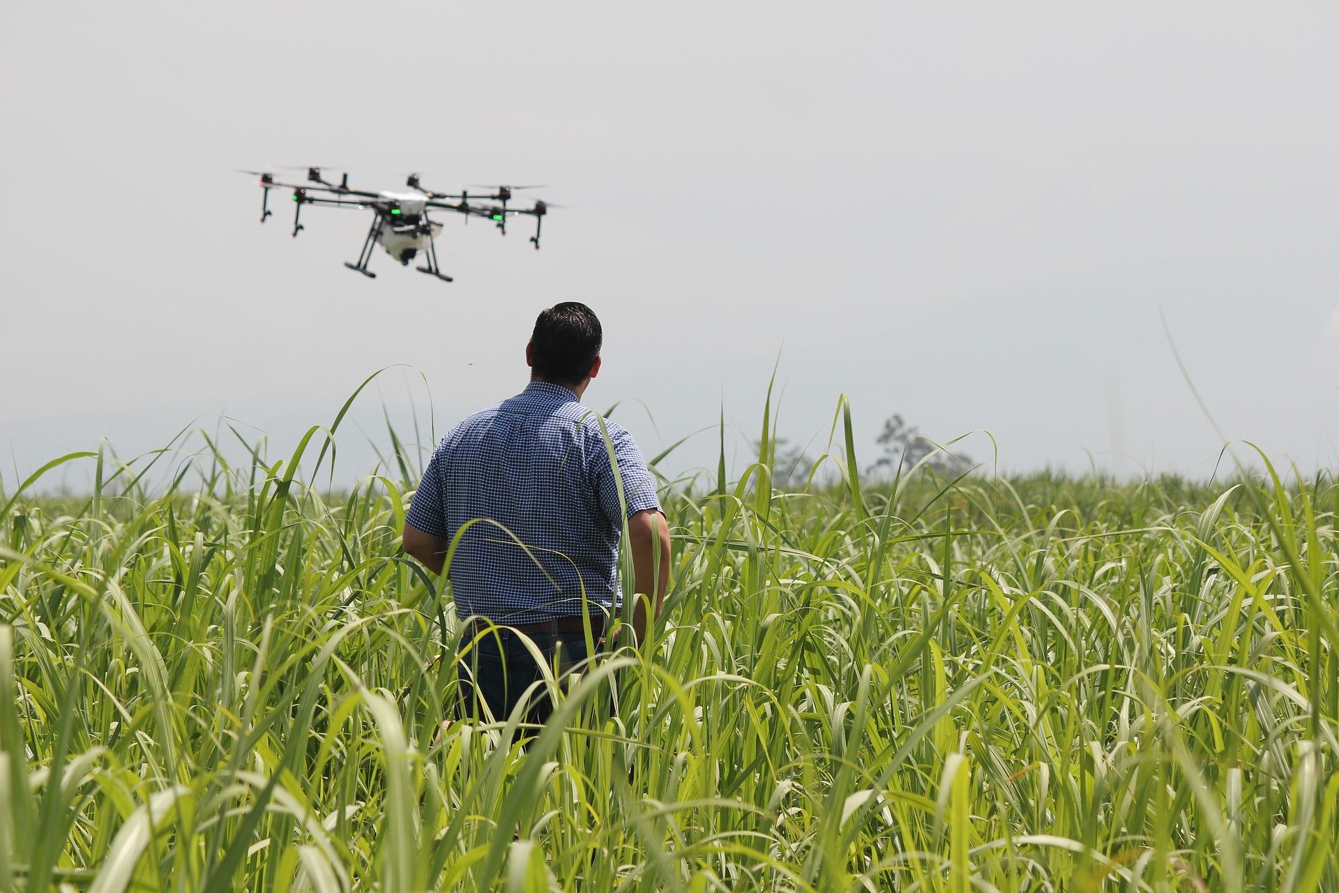 4 utilidades do uso de drones na agricultura